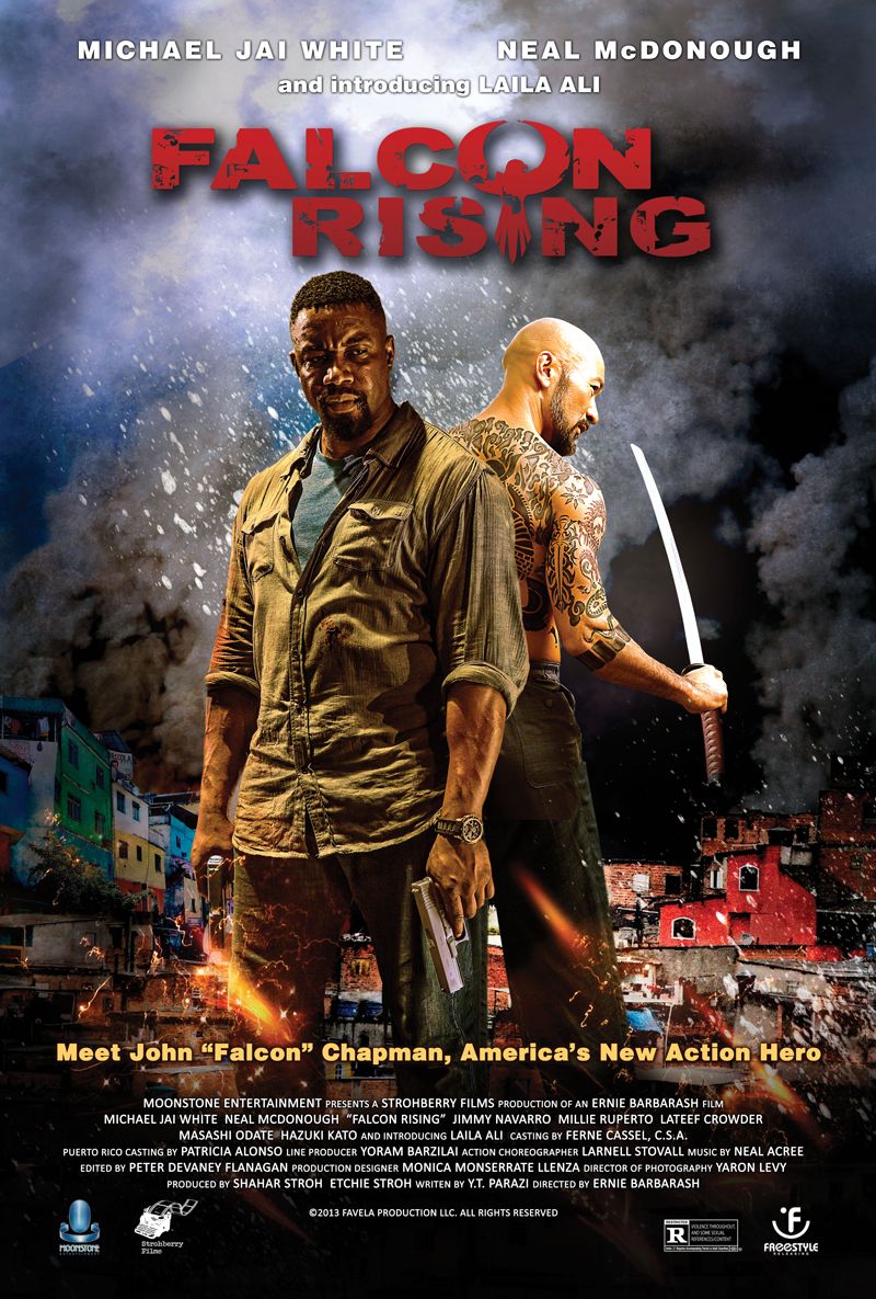 Falcon Rising (2014) Hindi Dubbed Movie