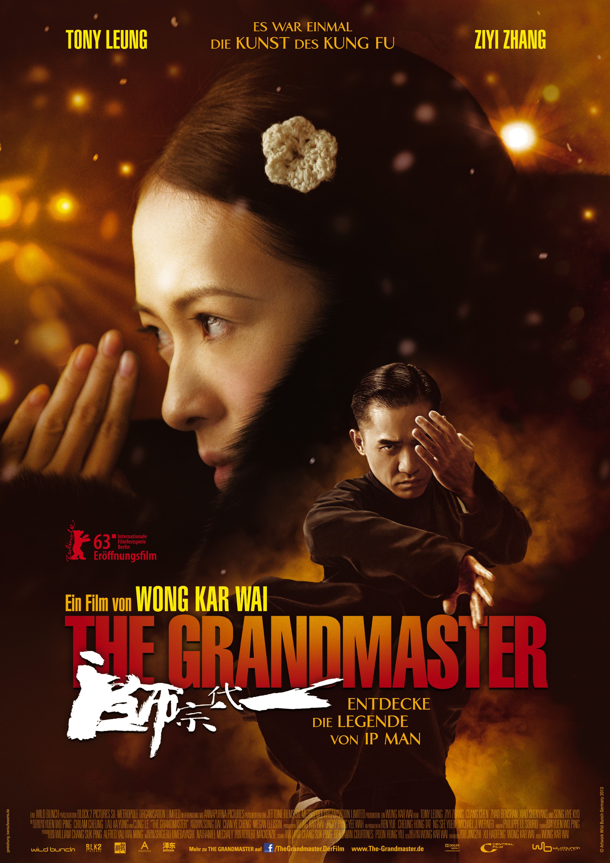 The Grandmaster (2013) Hindi Dubbed Full Movie