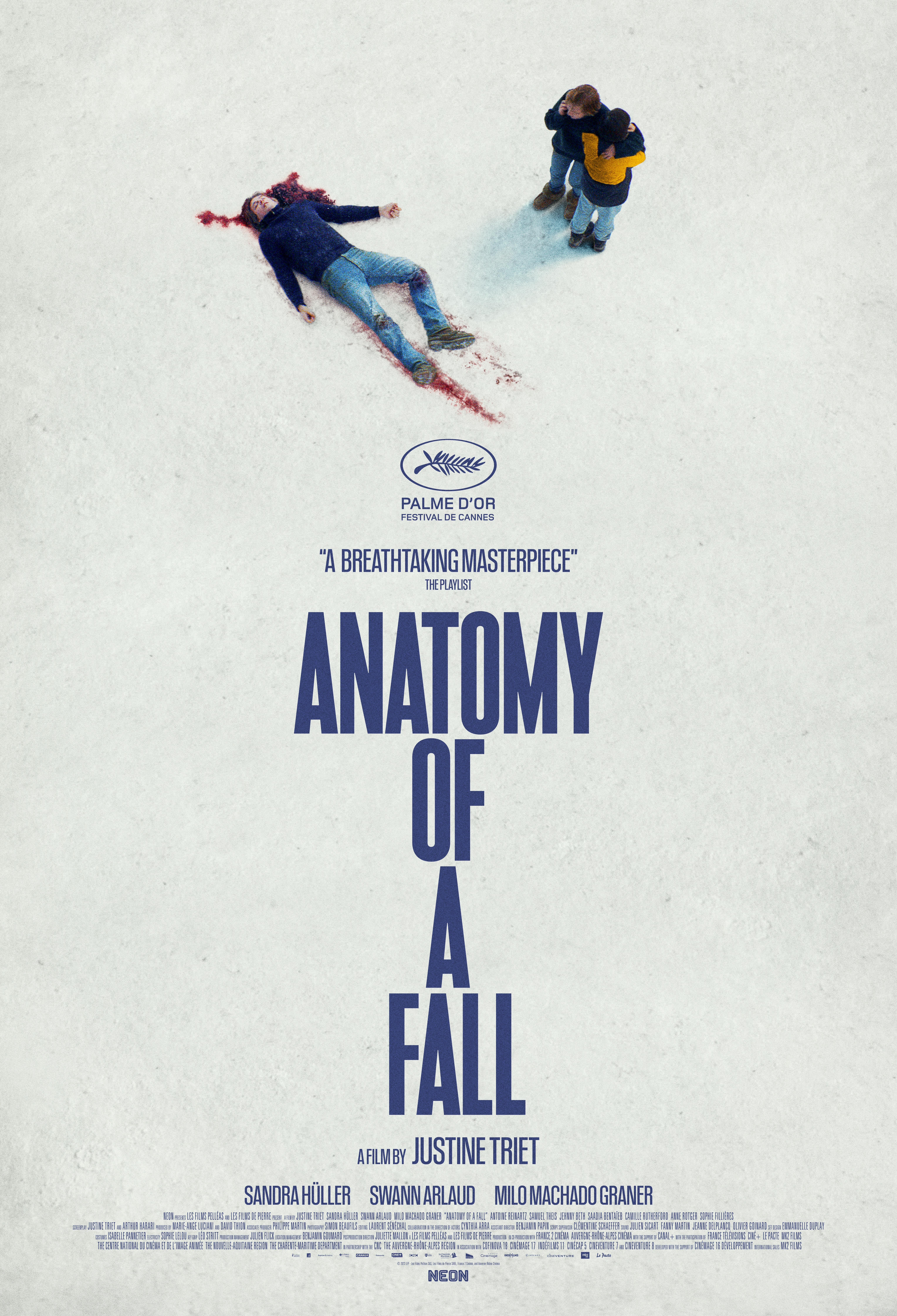 Anatomy of a Fall (2023) Hindi Dubbed Full Movie